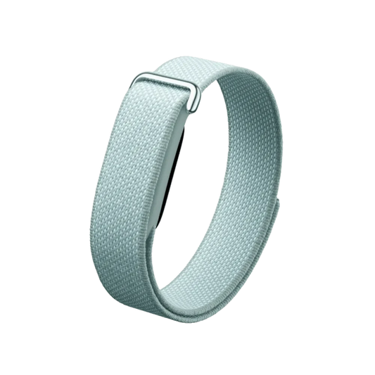 Google Fitbit Air "Fog"
