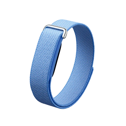 Google Fitbit Air "Lavender"