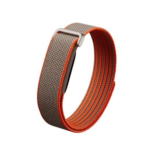 Google Fitbit Air Special Edition Stephen Curry Band "Rye"